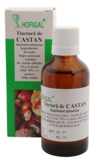 Tinctura castan 50ml - Hofigal