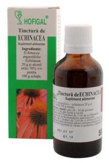 Tinctura echinacea 50ml - Hofigal
