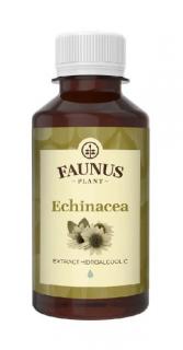 Tinctura echinaceea 200ml - Faunus Plant