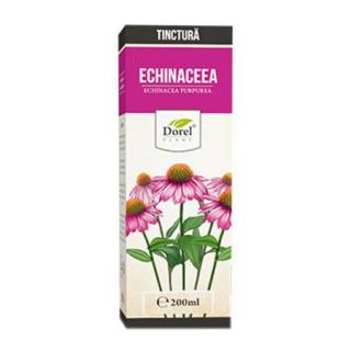 Tinctura echinaceea purpureea 200ml - Dorel Plant