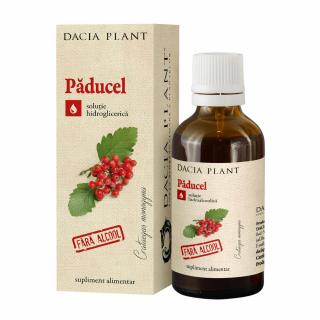 Tinctura paducel fara alcool 50ml - Dacia Plant