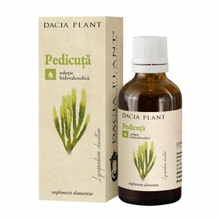 Tinctura pedicuta 50ml - Dacia Plant