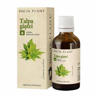 Tinctura talpa gastei 50ml - Dacia Plant