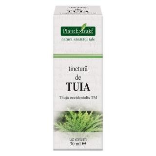 Tinctura tuia tm 30ml - Plantextrakt