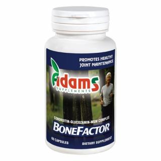 BoneFactor GS   Condroitin   MSM 60cps Adams Supplements
