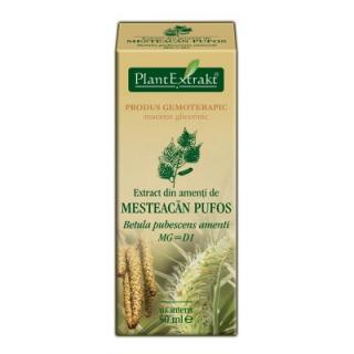 Extract amenti Mesteacan pufos 50ml Plant Extrakt