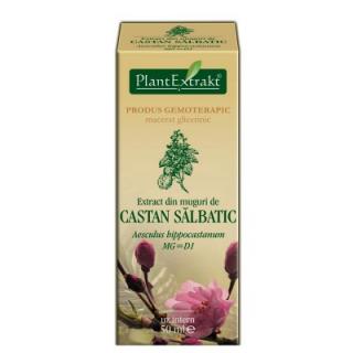 Extract Castan salbatic 50ml Plant Extrakt