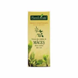 Extract Maces 50ml Plant Extrakt