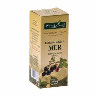 Extract Mur 50ml Plant Extrakt