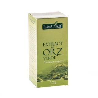 Extract Orz Verde 120ml Plant Extrakt