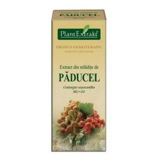 Extract Paducel 50ml Plant Extrakt