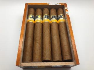 TRABUC COHIBA SIGLO VI (10)