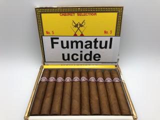 TRABUC MONTECRISTO NO.5 (10)