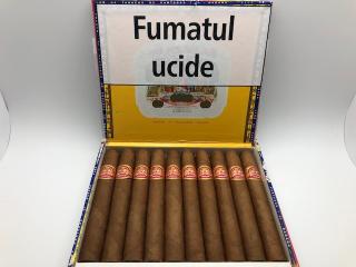 TRABUC PARTAGAS MILLE FLEURS (10)