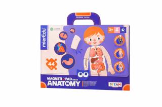 Joc magnetic educativ - Anatomia Umana