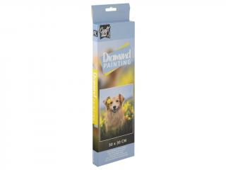Set creativ pictura cu diamante, Diamond painting, Catel, Craft Sensations