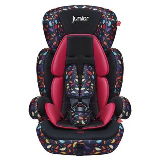 Scaun auto copil 2 in 1 Comfort 602 ECE R44 04, 9-36 kg - Multicolor