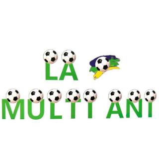 Ghirlanda   banner La multi ani fotbal 3 m