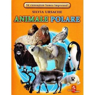 Animale polare - Cartonase