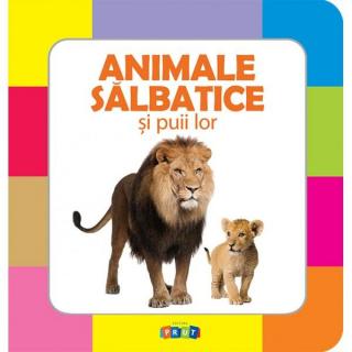 Animale salbatice si puii lor