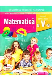 Matematica. Manual. Clasa a V-a (contine CD)