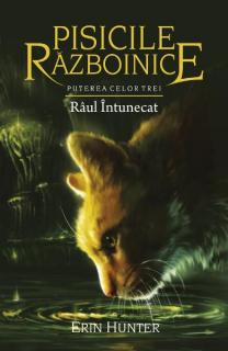 Pisicile Razboinice Vol. 14: Raul intunecat