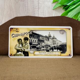 Tablou metalic suvenir, vintage   Palatul Banffy   - Cluj Napoca (Muzeul de Arta)
