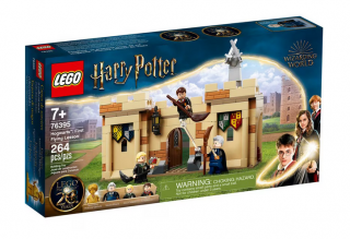 Set de construit, LEGO  , Harry Potter,   Hogwarts 76395 Prima lectie de zbor