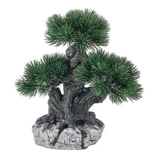 Bonsai plastic 2092h
