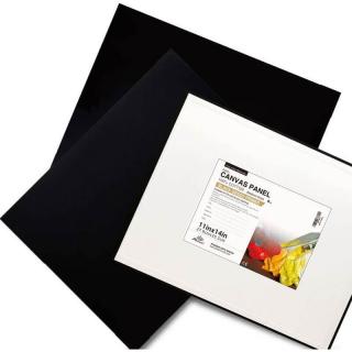 Carton panzat negru 18x24 cpn1824