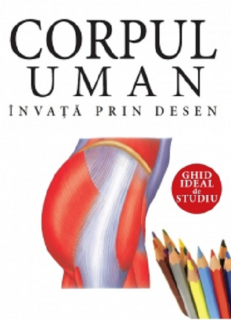 Corpul uman - Invata prin desen - Ghid ideal de studio