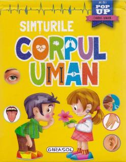 Corpul uman. Simturile