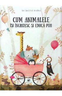 Cum animalele ingrijesc si isi educa puii arc