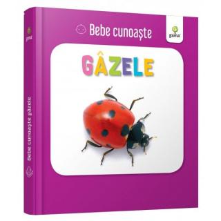 Gazele/ bebe cunoaste