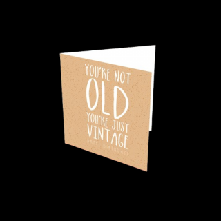 Hb877 you Re not old, you Re just vintage