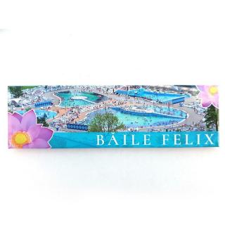 Magnet placuta - Baile Felix 711g