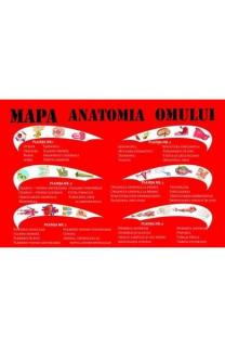 Mapa anatomia omului