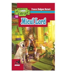 Micul Lord