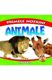 Primele notiuni.Animale