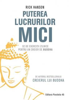 Puterea lucrurilor mici 52 exercitii ptr. Creier buddha