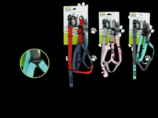Set lesa + ham animale 1.5 082847
