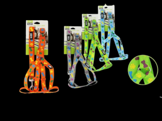 Set lesa + ham animale 2.0 060921