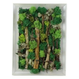 Tablou decorativ cu muschi 26x33cm