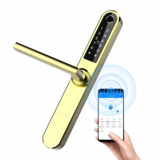 Incuietoare smart auriu pentru usi termopan PVC interior exterior, deschidere cu amprenta, cod, card, bluetooth, wi-fi, cheie, aplicatie TTLock