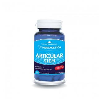 ARTICULAR STEM 60 CPS
