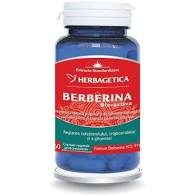 BERBERINA BIO-ACTIVA 60 CPS