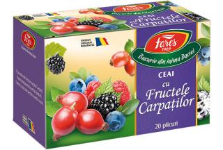 CEAI CU FRUCTELE CARPATILOR 20 DZ