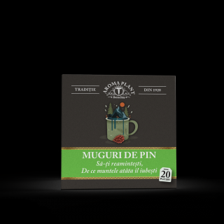 CEAI DE MUGURI DE PIN 20 PLICURI