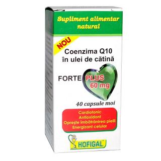 COENZIMA Q10 ULEI DE CATINA FORTE+ 60 MG 40CPS MOI