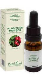 CONCENTRAT MLADITE MERISOR 15ML